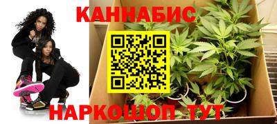 дурь Камышлов