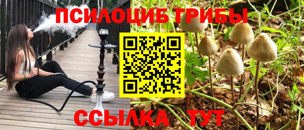 Псилоцибиновые грибы GOLDEN TEACHER Лабытнанги